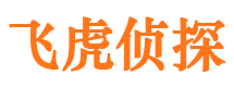 沧县侦探公司